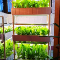 Indoor Vertical Hydroponic Growing Systems Kits with LED Light, 3 Layers, 42 Plants Sites