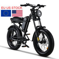 Ebike e-bike fatbike 250w eu warehouse stock magazijn electric bike fat tire electric hybrid dirt mountain city e bike bicycle