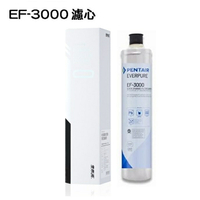 EVERPURE愛惠浦EF-3000濾芯台灣愛惠浦公司貨濕式碳纖活性碳 EF3000 濾心