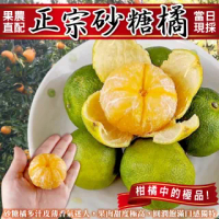 【果農直配】老欉迷你珍珠砂糖橘(15斤/箱)