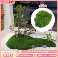 Lumut Abadi Artificial Moss Dried Imitasi Realistis Lumut Buatan Untuk Aquascape Paludarium palsu hi