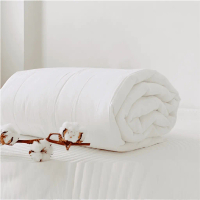 Ruột Chăn Trắng Siêu Nhẹ, Ruột Chăn Bông Gòn Loại Tốt - Miu Home