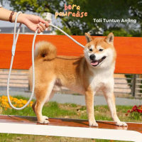 Leash Anjing Kecil / Tali Tuntun Anjing / Tali Anjing Kecil Kuat / Dog Leash / Rantai Anjing