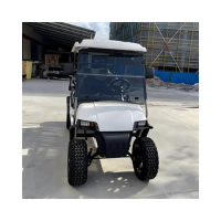 Electric Hunting Buggy Golf Cart 4-6 Seats for Hunting with CE