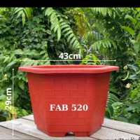 Combo 5 cái Chậu nhựa trồng cây lục giác FAB 520 màu đỏ Kích thước 43cm x 29cm