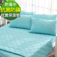 Ania Casa 翡翠藍 枕頭套保潔墊 日本防蹣抗菌 採3M防潑水技術