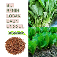 1000 biji benih lobak daun lalap unggul