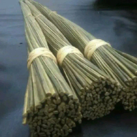Sapu lidi aren