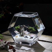 斗魚缸 五邊形玻璃魚缸加厚玻璃高透亮魚缸小號斗魚缸熱帶魚缸桌面魚缸