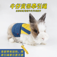 Pet rabbit clothing leash rabbit kitten cat lop rabbit decoration clothing photo trendy outfit
