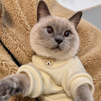 貓咪衣服加絨加厚英短美短寵物狗狗衣服薄款防掉毛保暖幼貓藍貓