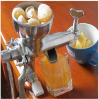 Mini fruit juice extractor wheatgrass juicer