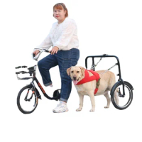 Yoya-bike run with dog walking, training, and walking, dogs and pets