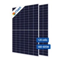 Tier 1 Brand Risen Solar Panel 500W 540W 550W Solar Panel Bifacial Pannelli Solar With Tuv Ce Certificate