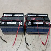 Baterai Lifepo4 12V 100Ah set BMS