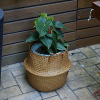 北歐海草編織花籃花盆套 現代琴葉花盆擺件 草編手提籃收納袋折疊