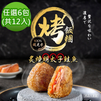 【荷卡料理所】炙燒九州甘口醬油/炙燒明太子鮭魚/韓式爆漿起司/醬燒烤魚佐杏仁烤飯糰 任選6包(105gx2入/包)