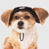 【CANADA POOCH】泰迪熊漁夫帽 -兩色/COOL FACTOR BUCKET HAT- Black / Purple(寵物配件/寵物帽)
