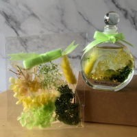【A-ONE 匯旺】浮游花DIY材料包 乾燥花 永生花 DIY手作 花材 拍攝道具 馴鹿草 乾燥花 不凋滿天星花藝 H18