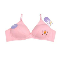 Scelta - Step 3 Bra Remaja Miniset Bh Teenager Scelta Teen Bh Sc Ai 904 Pink 32