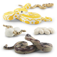 Mô Hình Chu Kỳ Phát Triển Mô Phỏng Động Vật Rừng, Bộ 4 Món, Cho Trẻ Em, Bao Gồm Python, Molurus, Hoa