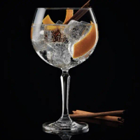 6 pcs Ocean Connexion Gin Cocktail Glass 21 oz