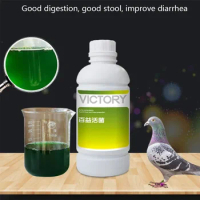 Pigeon gastrointestinal probiotics 500ml meat pigeon racing pigeon homing diarrhea diarrhea green will help digestion and