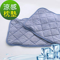 鴻宇 涼感-5度C 瞬涼可洗抗菌枕頭保潔墊2入 SUPERCOOL接觸涼感