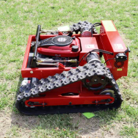 Crawler/Wheel Mini Lawn Mower with Electric Starter