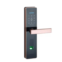app digital lock Electronic wifi remote App keyless Biometric Fingerprint Door Lock