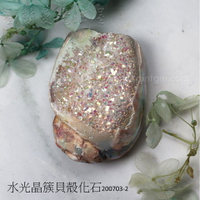 【土桑展精選寶物】水光晶簇貝殼化石200703-2 (珠寶等級)