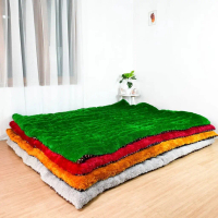 Kasur Lantai Bulu Gender Free 2 Bantal / Kasur Bulu Menul Cimol Empuk