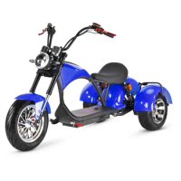 new design battery charger fat tire citycoco 3-wheel electric scooter 2000w cargo e-scooter