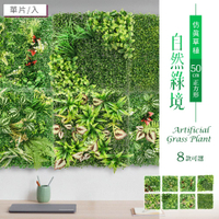 植草磚/植生牆/仿真植物牆 仿真草植-自然綠境(50cm正方形/8款可選) dayneeds