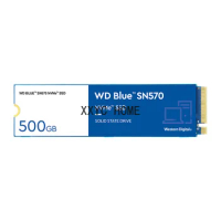 WD Western Data Sn550/Sn570 Blue Disk 250G 500G 1T 2T High Speed PCIe Solid State Hard Disk SSD