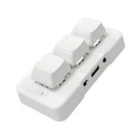 MK321-Pro Customized Keyboard Mechanical Blue Switch RGB Light 3-Mode USB+2.4G Wireless+Bluetooth Connection Keyboard Durable