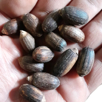 BIJI/KLETEK/KLATAK MLINJO