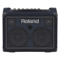 【ROLAND 樂蘭】KC-220 鍵盤音箱 擴大機 電子琴 合成器 全頻率音箱(公司貨保固一年)