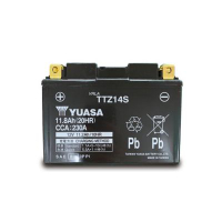 未入液 YUASA 湯淺 機車電瓶 TTZ14S 14號電池 矮身 同GTZ14S DOWNTOWN350
