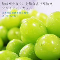 【鮮果日誌】日本岡山縣麝香晴王葡萄(一房)