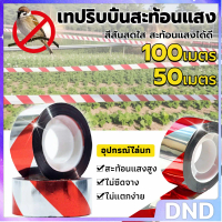 DND SHOP เทปริบบิ้น 1 ม้วน   50m 80m 100m ribbon