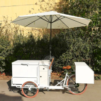 CE Approved Ice Cream Vending Carts White Electric 3 Wheel Food Bike With Freezer For Sale Freezer B