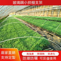 免運 玻璃纖維棒 種植拱棚 拱棚支架 實心玻璃縴維桿棒 大棚塑料養殖骨架 農傢用菜棚支架 特價出 可開發票
