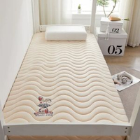 加厚床墊尺寸70x170家用床褥0.9米80x180x60x160x110x190x140大豆款-抗菌床墊-兔兔駝（舒適款）60*160cm