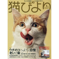 貓模樣寵物雜誌 1月號2020附2020年貓咪月曆