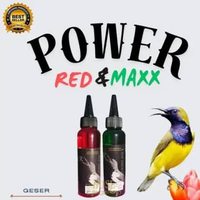 POWER RED & MAXX KHUSUS BURUNG PLECI KONIN SOGON CUCAK IJO CUNGKOK RED (MERAH)