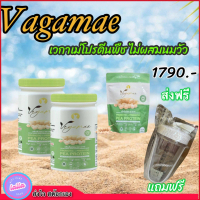 VEGAMAEเวกาเม่ 2 กระปุก ฟรี!แก้วเชค+แบบซอง โปรตีน ปราศจาก GMO