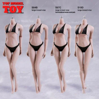Phicen /TB League S12D Super Flexible Seamless Female 1:6 Scale Body Series  with Stainless Steel Skeleton - Toys Wonderland