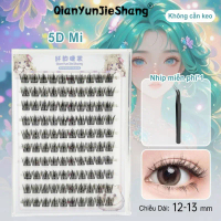 5D Lông Mi Tự Dính Lông Mi Cụm Ba Chiều (D Curl) Lông Mi Giả Không Cần Keo