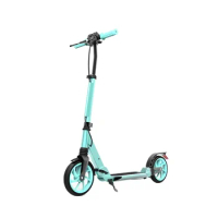 Folding Adult Scooters, Factory Price, Buy Scooters online Direct Sale